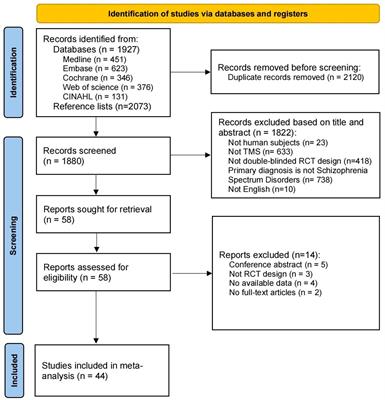 Placebo effects of repetitive transcranial magnetic stimulation on negative symptoms and cognition in patients with schizophrenia spectrum disorders: a systematic review and meta-analysis